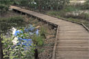 Bedlog style footbridge