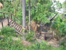 Looking down on lower stairs