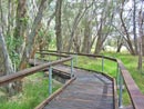 Timber Boardwalk