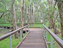 Timber Boardwalk