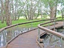 Timber Boardwalk