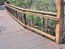 Main Boardwalk Disabled Rail 1