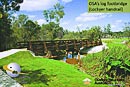 Log footbridge