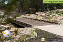 Log Girder Deck