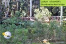 Stuart series steel bridge