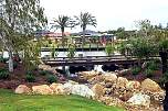 Bridge Robina Dales