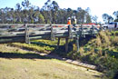 Refurbished Fitzgibbon Chase bridge (after)