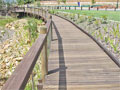 4: Boardwalk & handrail