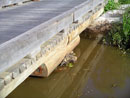 Multiple span at Pullenvale