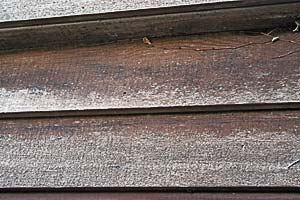 Exposed cladding prior to externior timber treatment