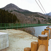 Suspension Bridge 320m