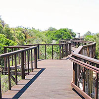 Coolum Boardwalks