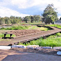 The University of Queensland (Gatton)