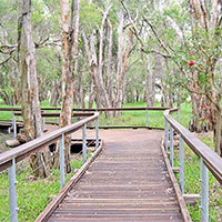 Cannon Hill Anglican College Boardwalk