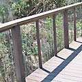 HR 145 by 44 timber handrail design
